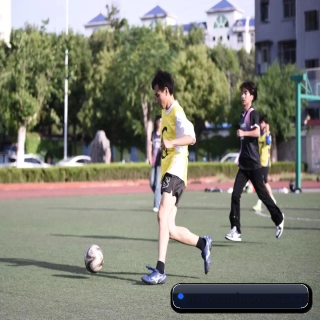 熊猫体育集团 APP 界面